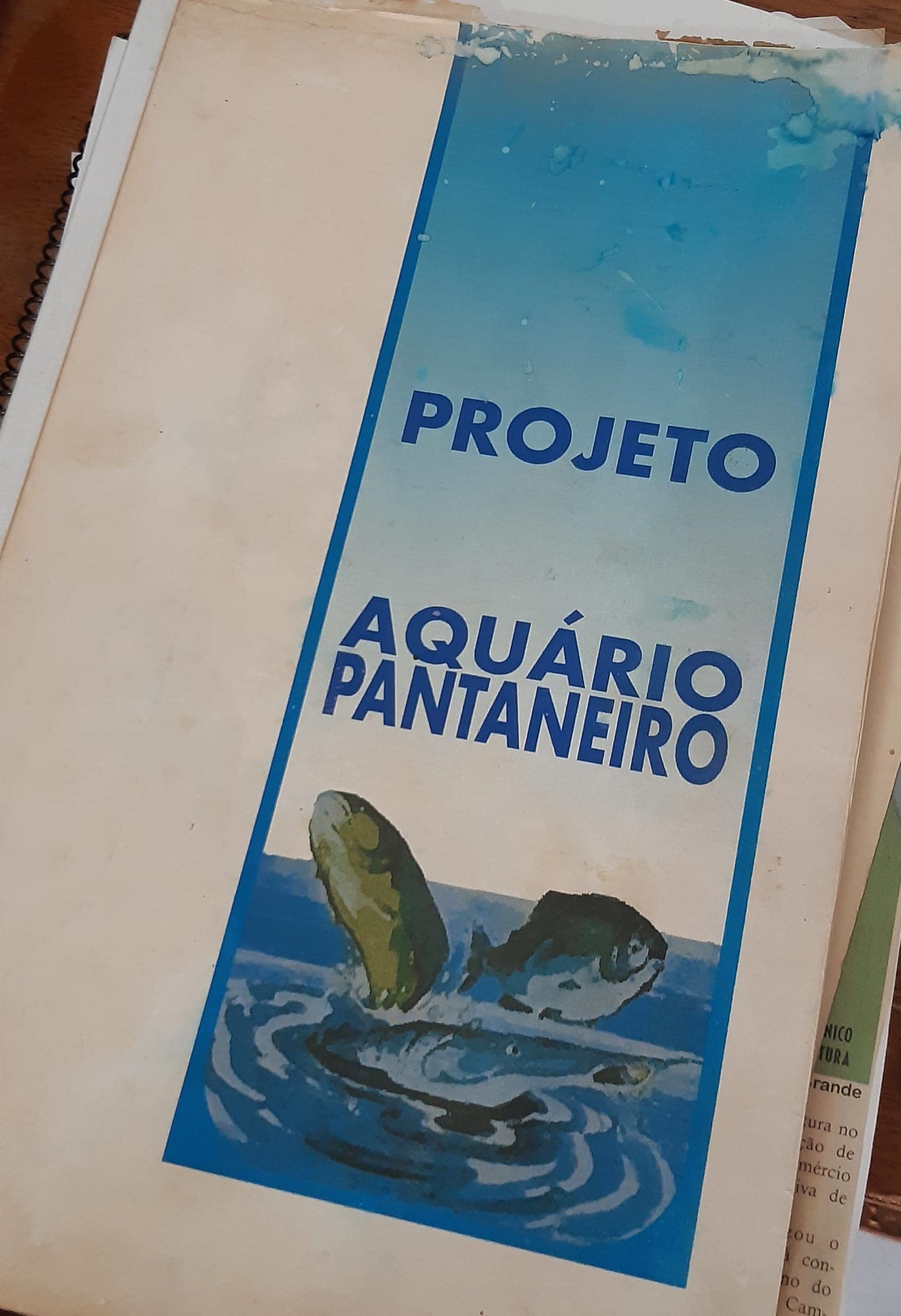 Projeto Aquário Pantaneiro por Pedro Spíndola