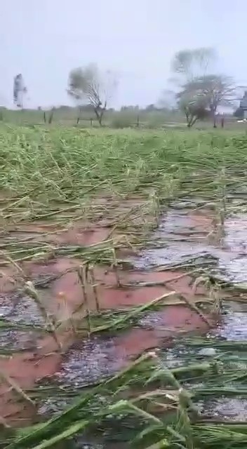 Olhar 67 - Temporal com chuva de granizo causou estragos na tarde desta sexta-feira (22), na região Sul do Estado