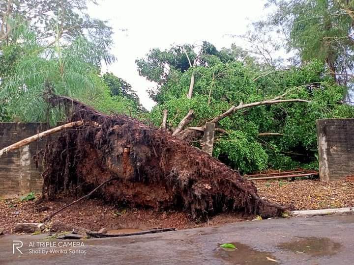 Olhar 67 - Um temporal causou estragos na cidade de Miranda neste fim de semana