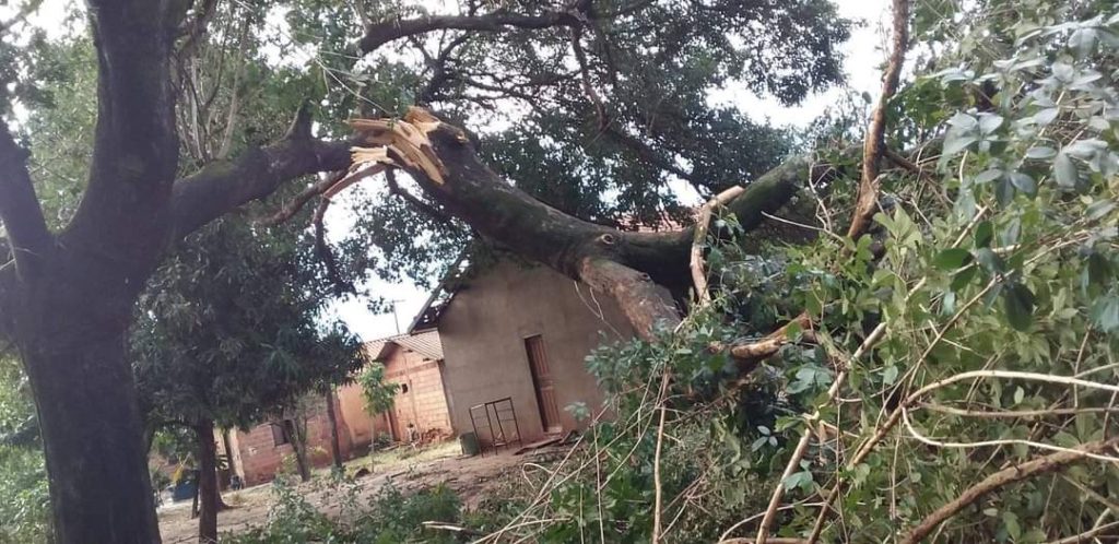 Olhar 67 - Um temporal causou estragos na cidade de Miranda neste fim de semana