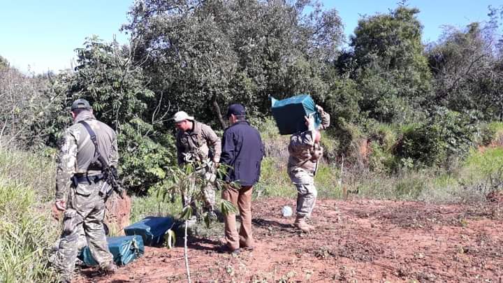 Olhar 67 - Brasileira é presa com mais de 300 kg de cocaína em pista clandestina no Paraguai