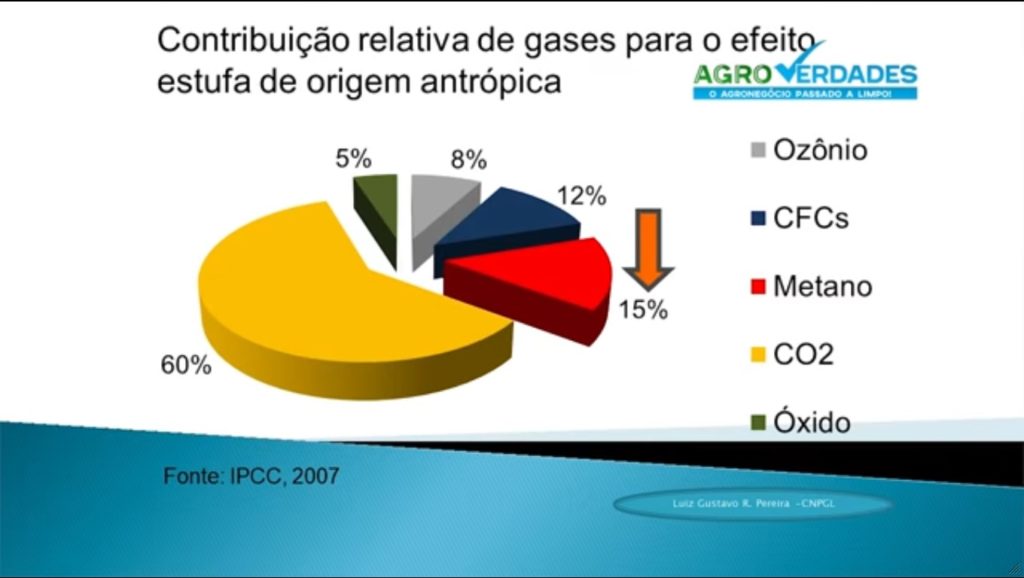 Olhar 67 - Flatulência bovina será tributada na Nova Zelândia