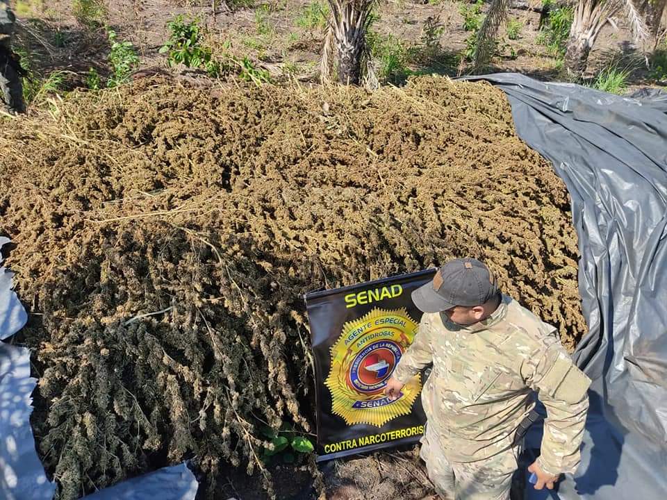 Olhar 67 - Polícia Paraguaia faz apreensão recorde de maconha