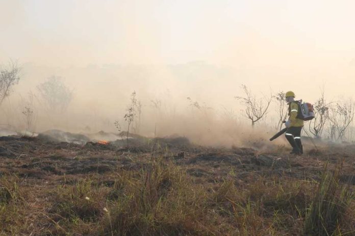 Fogo Controlado na Pecuária