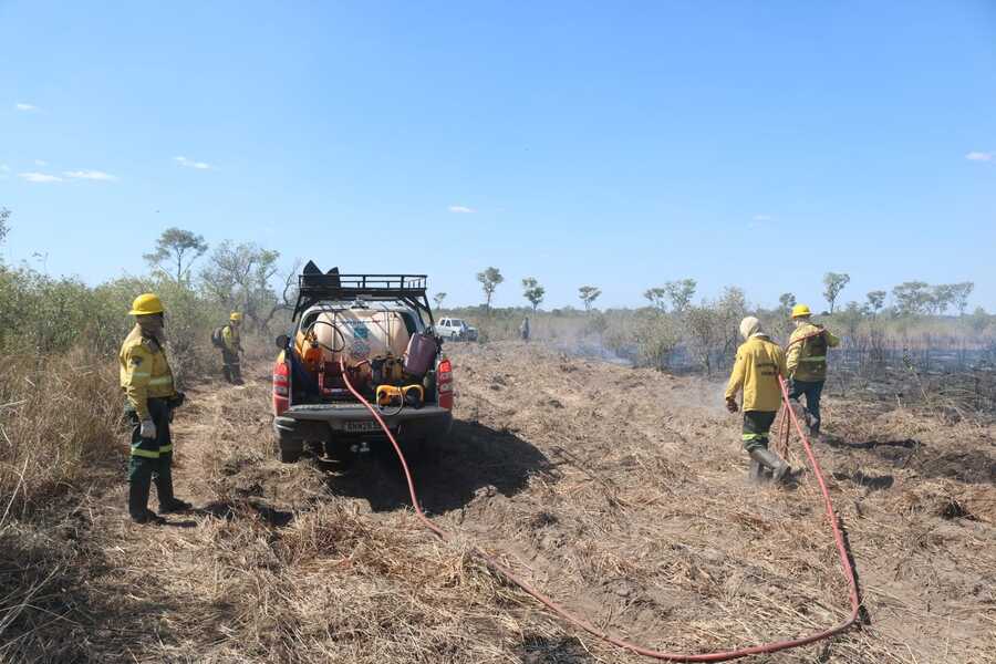 Fogo Controlado na Pecuária