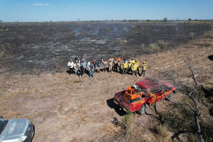 Fogo Controlado na Pecuária