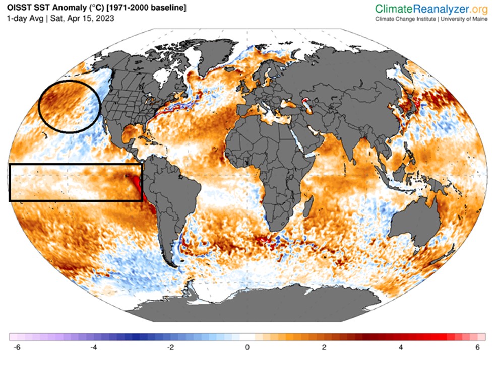 Olhar 67 - El Niño volta com força e traz impactos no clima brasileiro