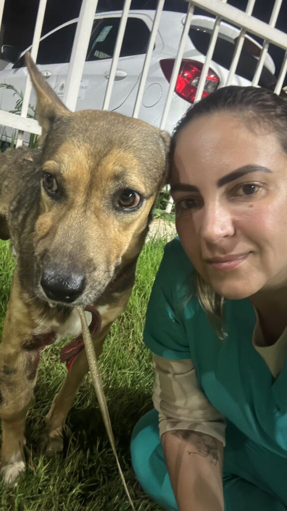 Olhar 67 - Clínica de Araçatuba (SP) dá nova chance para animal abandonado e com câncer