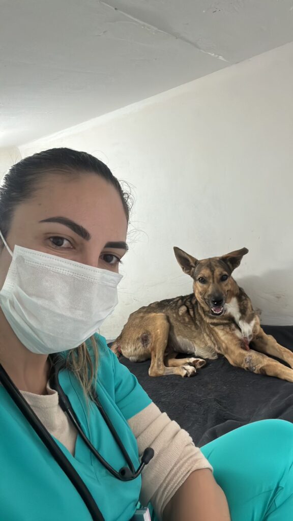 Olhar 67 - Clínica de Araçatuba (SP) dá nova chance para animal abandonado e com câncer