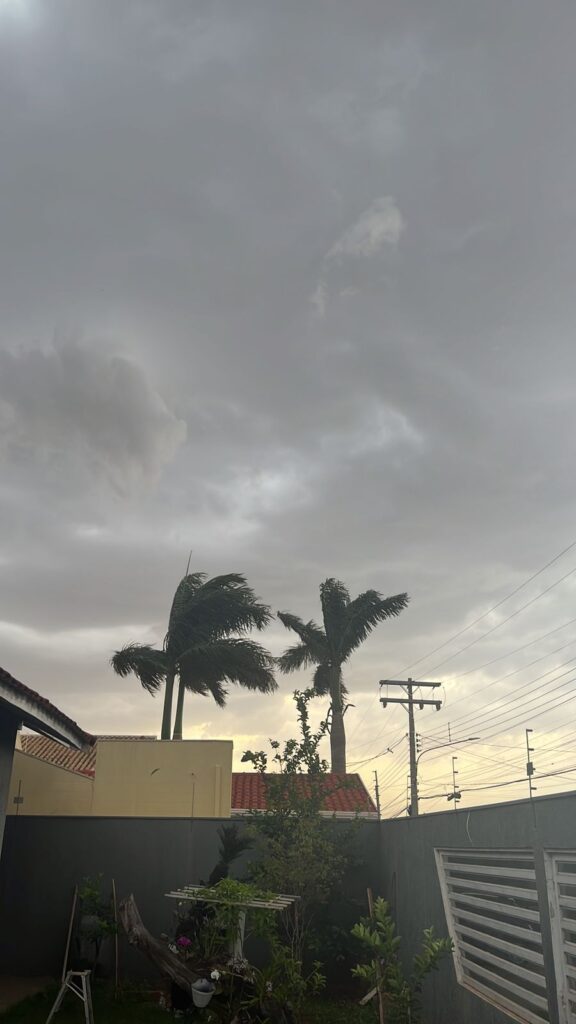 Olhar 67 - Chuva e ventos fortes derrubam árvores e causam transtornos a moradores de Ponta Porã