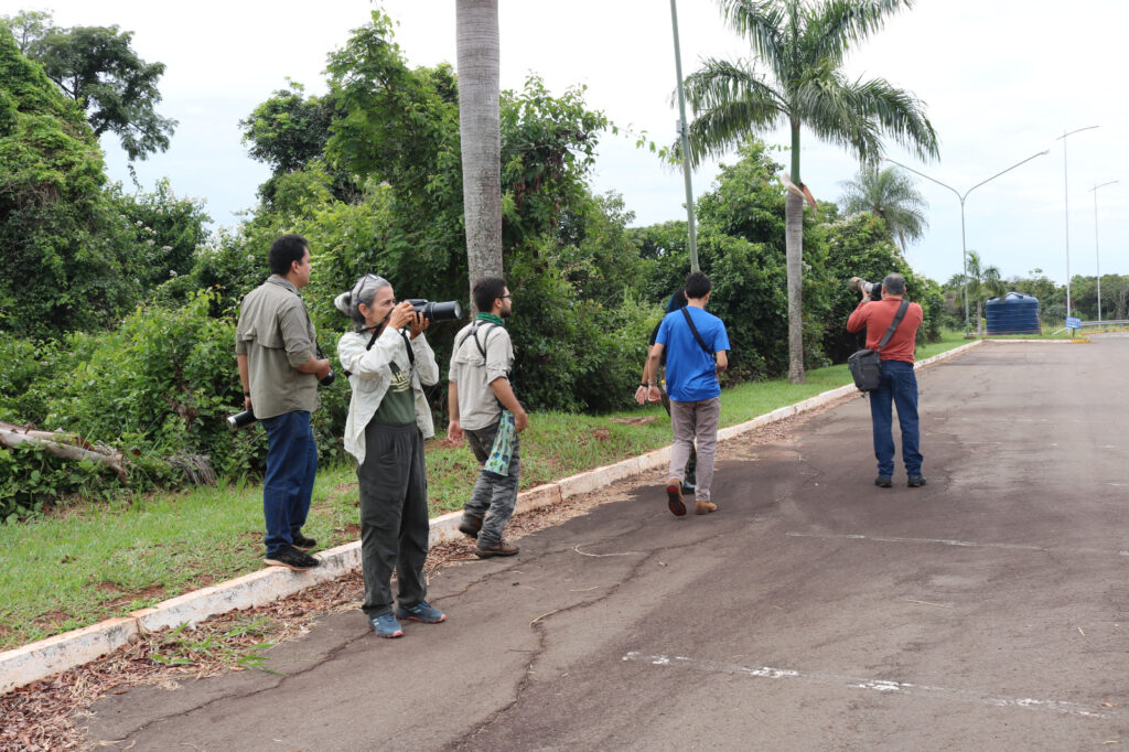 Olhar 67 - Pesquisadores realizam levantamento de aves no campus Tamandaré e na Fazenda-Escola